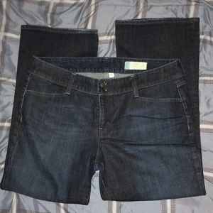 GAP Curvy Stretch Jeans NWOT